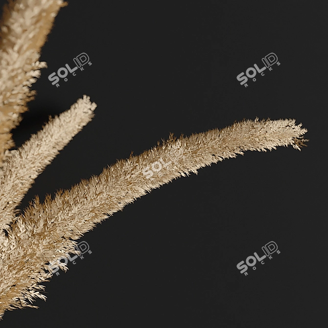 Elegant Pampas Grass Decor 3D model image 3