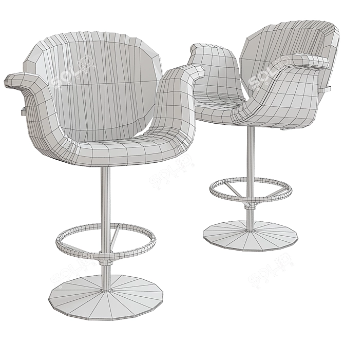 Classic Beauty Tulip Midi 3D model image 2