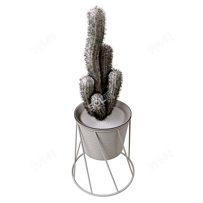  Prickly Beauties: Cactus Deco 3D model image 2