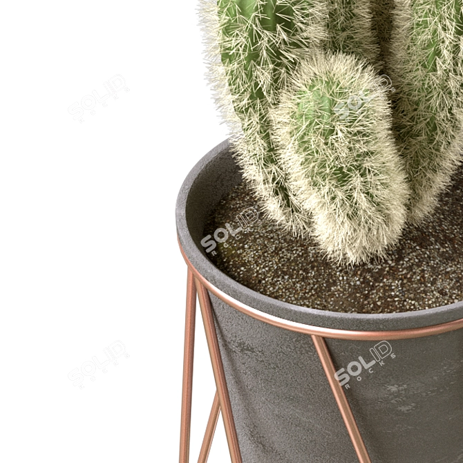  Prickly Beauties: Cactus Deco 3D model image 3