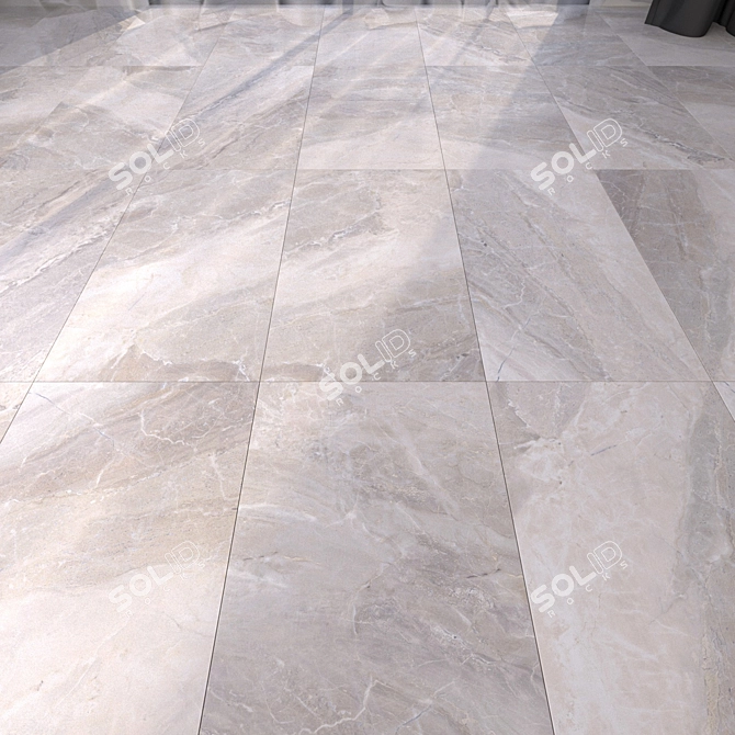 Alpin Grey Marble Floor: Multi-Texture, High-Definition, Corona & Vray 3D model image 1