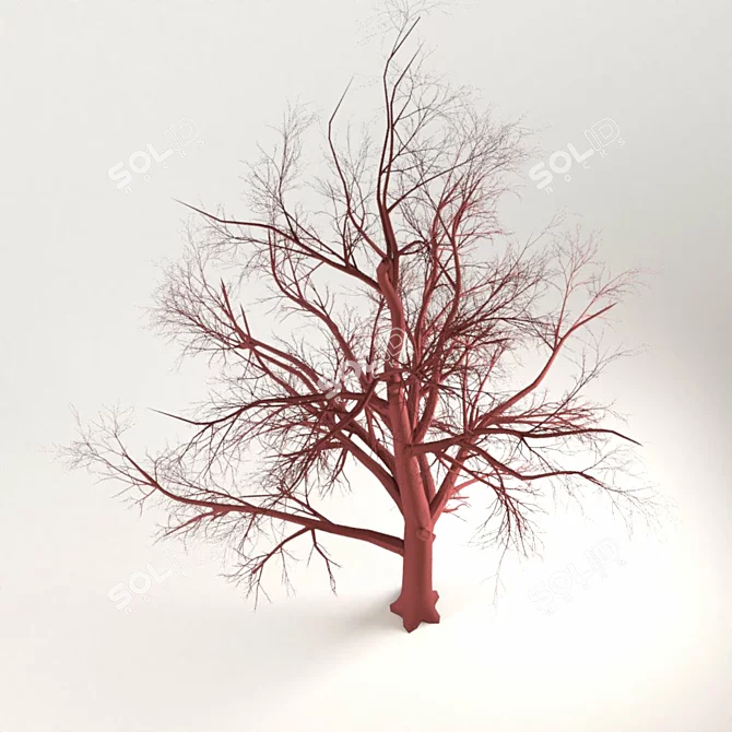 Diverse Greenery for 3D Renders 3D model image 3