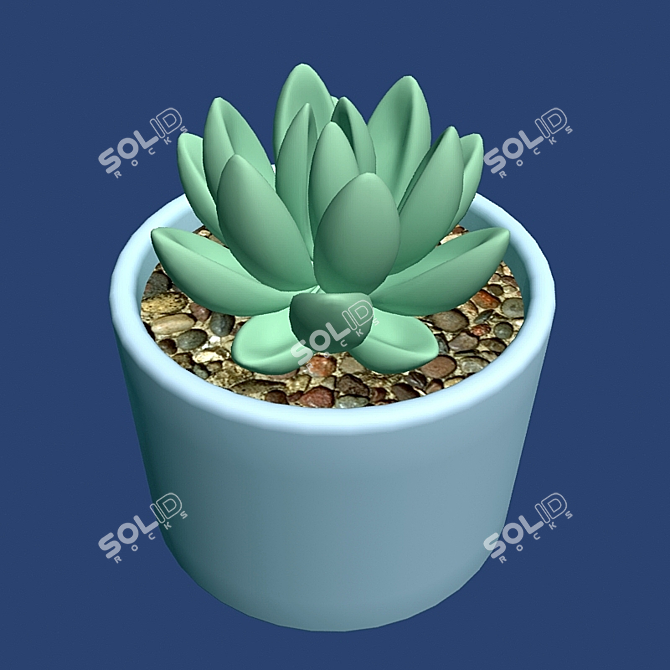 African Succulent Model Kit - 3DS MAX 2009 3D model image 1