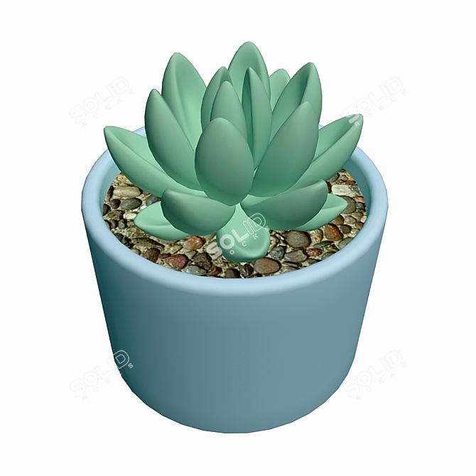 African Succulent Model Kit - 3DS MAX 2009 3D model image 2