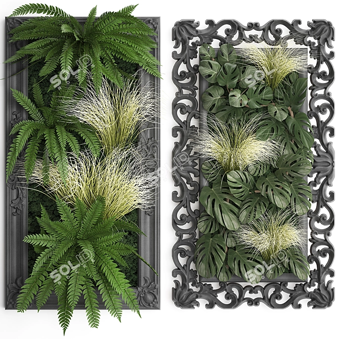 Monstera Vertical Garden in Classic Frame 3D model image 1