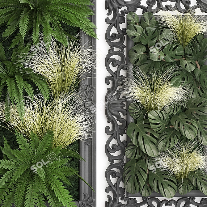 Monstera Vertical Garden in Classic Frame 3D model image 4