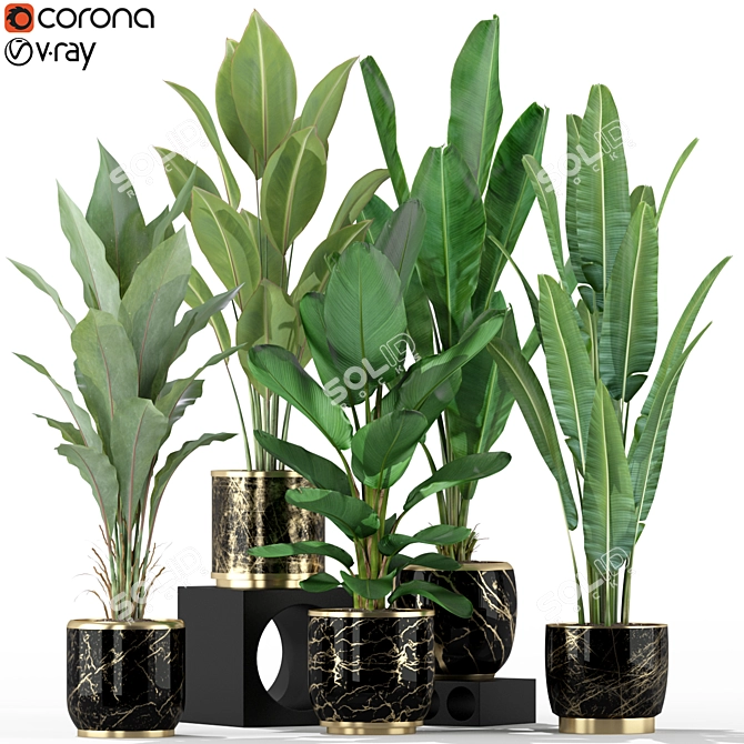  Lush Green Indoor Plants 3D model image 1