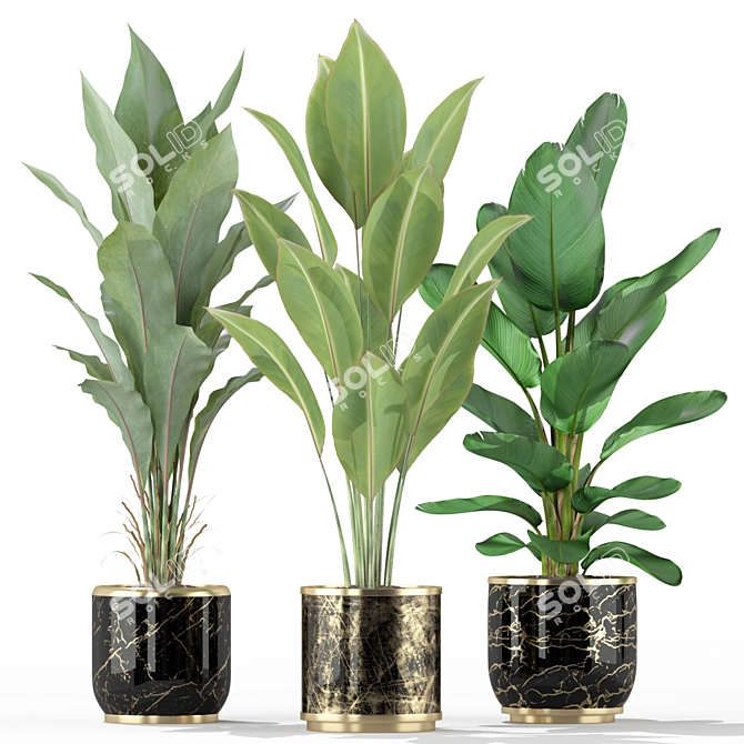  Lush Green Indoor Plants 3D model image 2