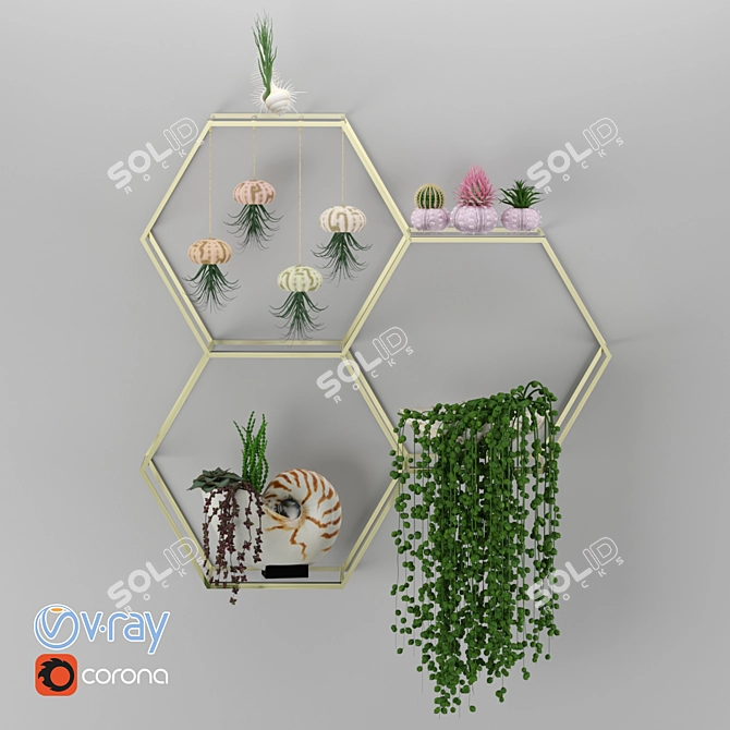 Modern House Plants Set 3D model image 2