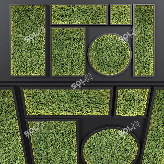 Stylish Moss Pano: Natural Greenery for Interiors 3D model image 1