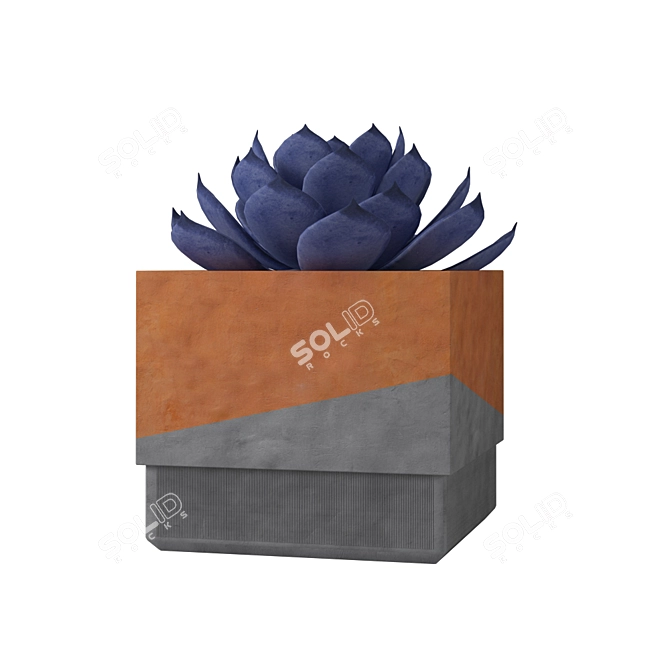 Minimalist Concrete Succulent Planters 3D model image 4