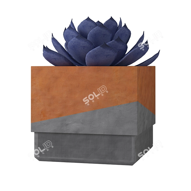 Minimalist Concrete Succulent Planters 3D model image 5