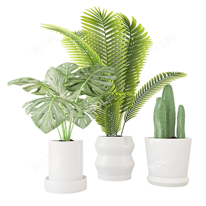 Tropical Greenery Trio in Ceramic 3D model image 3