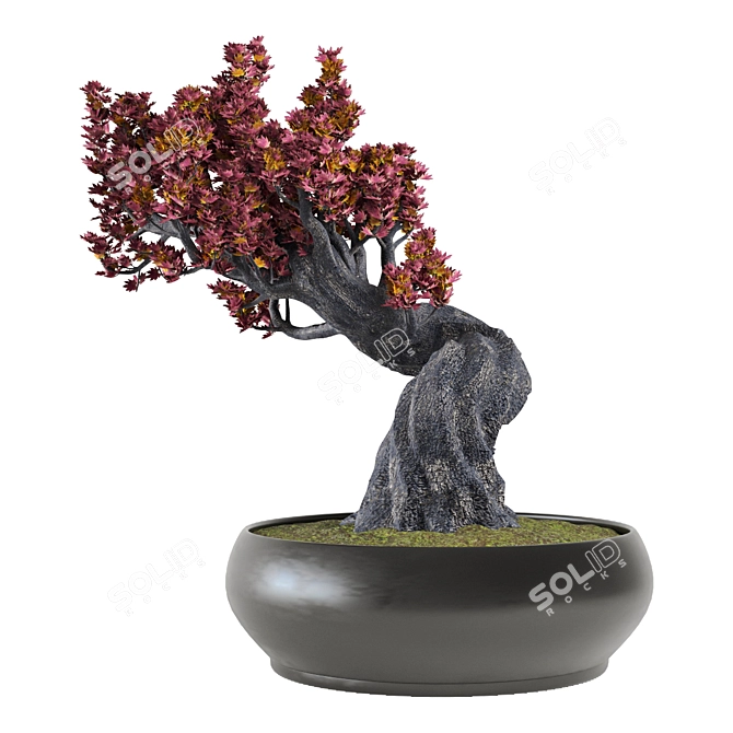 Japanese Maple Tree: Beautiful Decor 3D model image 3