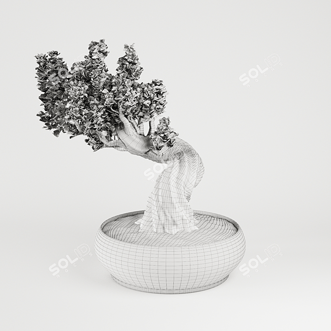 Japanese Maple Tree: Beautiful Decor 3D model image 4