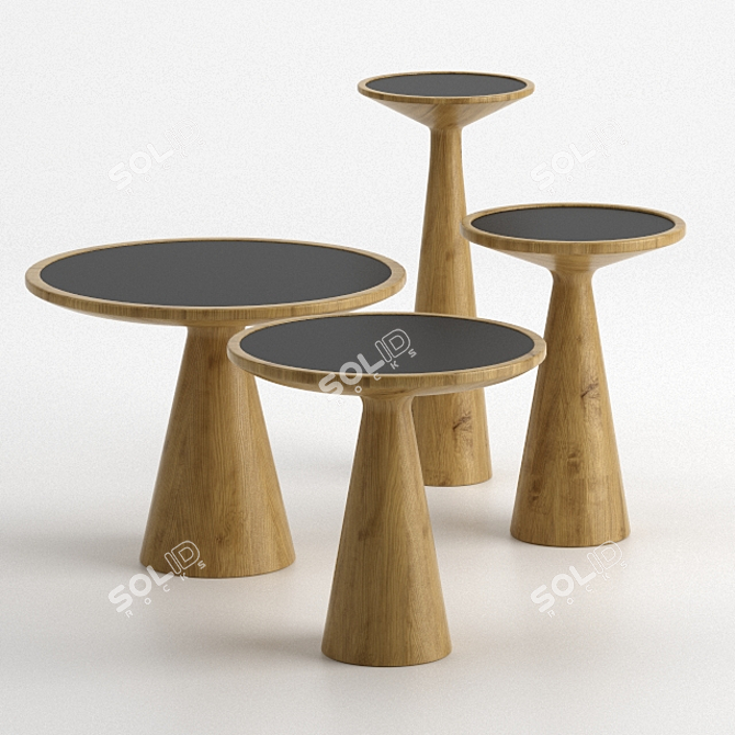 Elegant Figura Tables by Draenert 3D model image 2