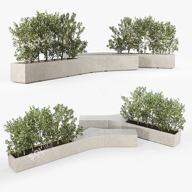 Modern Box Planter for Olea Europaea 3D model image 2