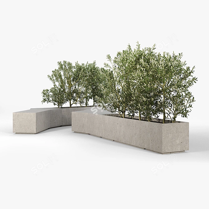 Modern Box Planter for Olea Europaea 3D model image 3