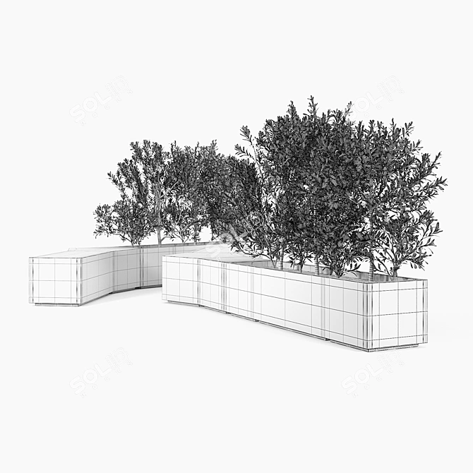 Modern Box Planter for Olea Europaea 3D model image 4