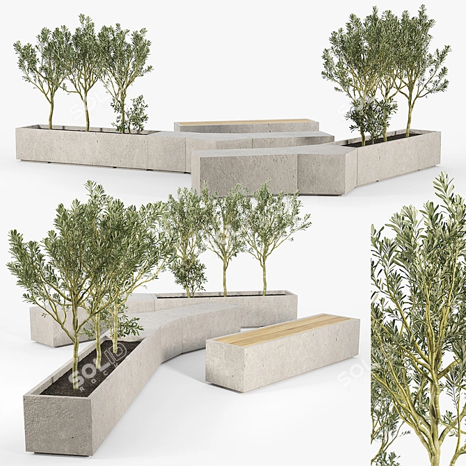 Olive Tree Box Planter 3D model image 2