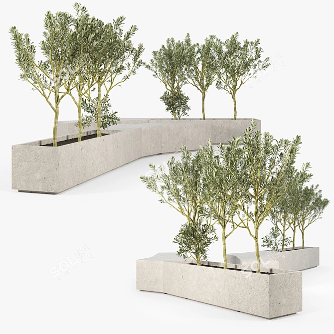 Olive Tree Box Planter 3D model image 3