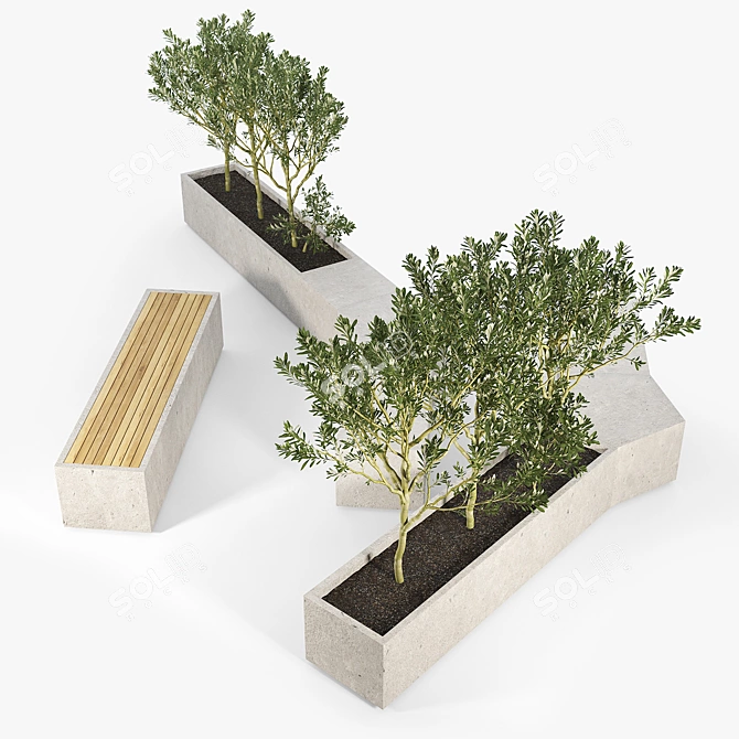 Olive Tree Box Planter 3D model image 4