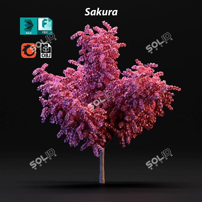 Cherry Blossom Tree 3D model image 1