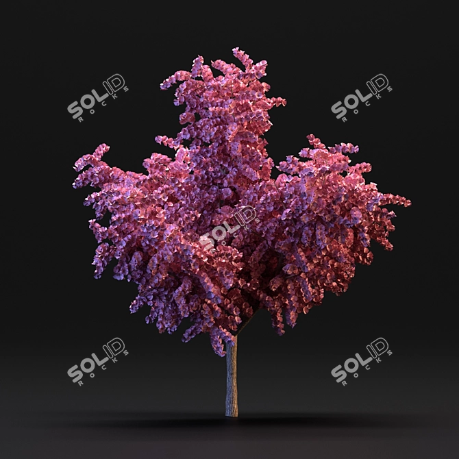 Cherry Blossom Tree 3D model image 3