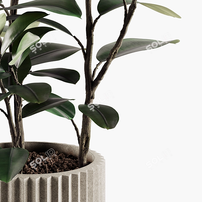 Lush Indoor Plant Variety Set 3D model image 3