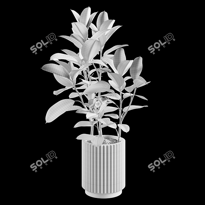 Lush Indoor Plant Variety Set 3D model image 5