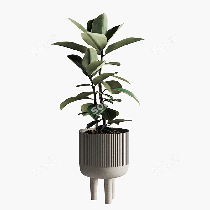 Lush Indoor Plant Collection 3D model image 1