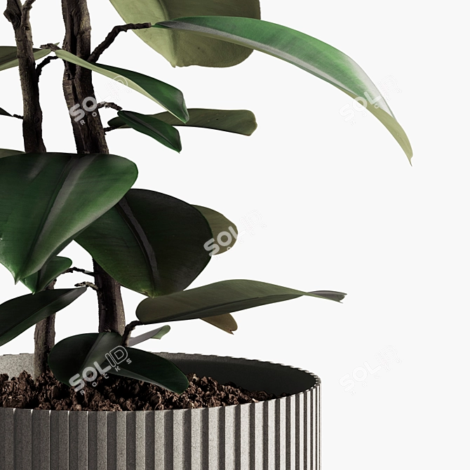 Lush Indoor Plant Collection 3D model image 3