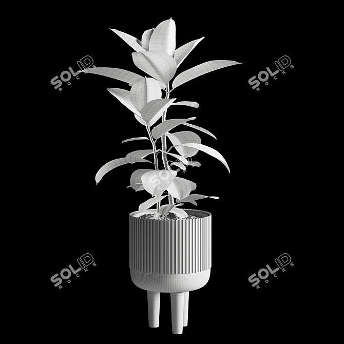 Lush Indoor Plant Collection 3D model image 5