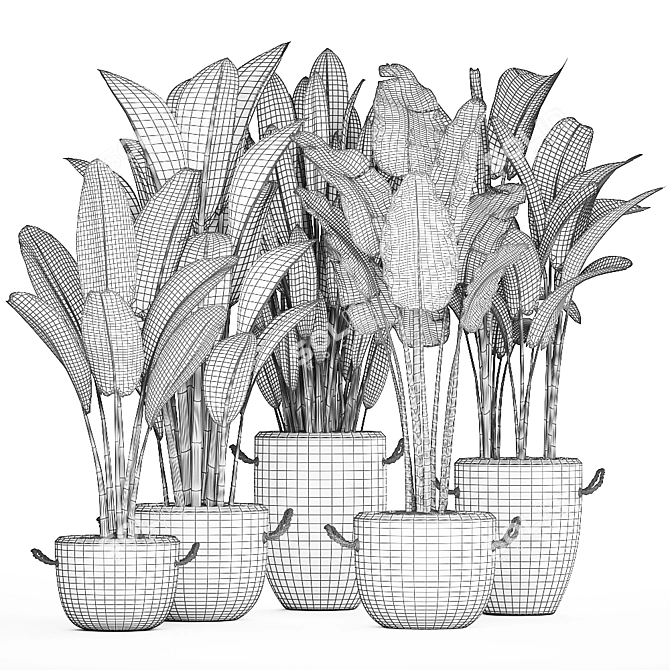 Exotic Houseplant Collection 3D model image 5