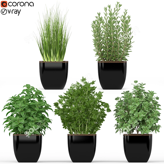 Boho Botanical Oasis Collection 3D model image 1