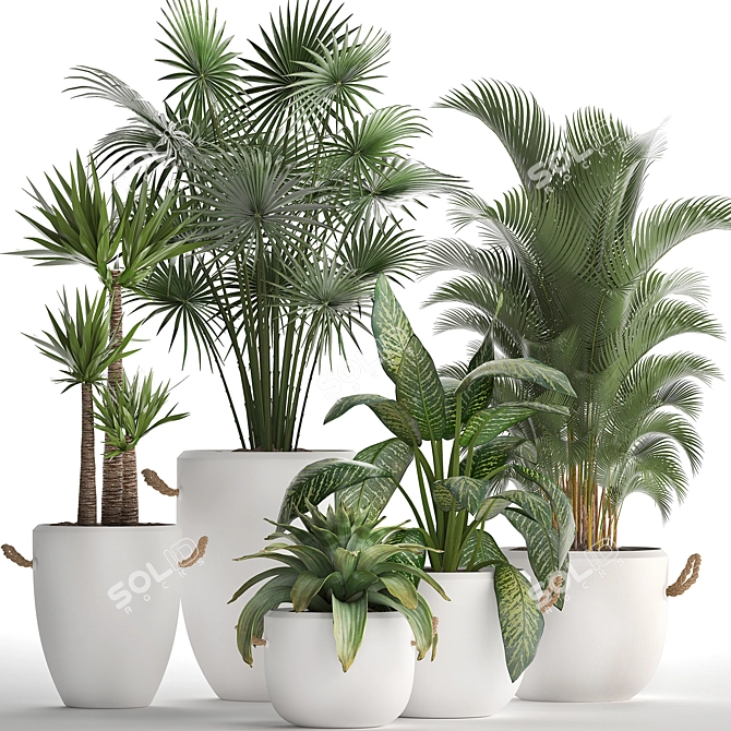 Exotic Houseplant Collection 3D model image 1