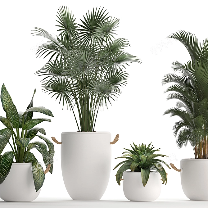 Exotic Houseplant Collection 3D model image 2