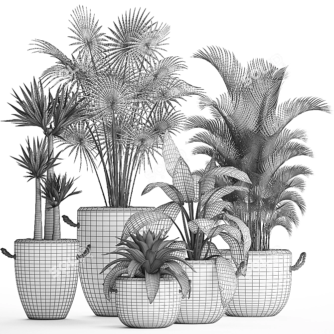 Exotic Houseplant Collection 3D model image 5