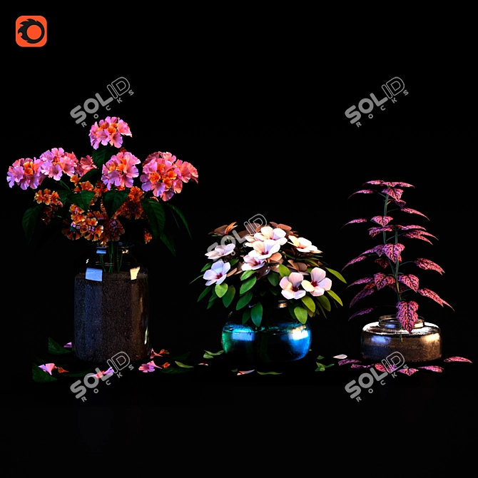 Exotic Blooms from Mediterranean Islands 3D model image 1