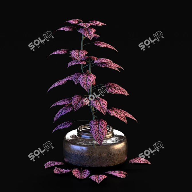 Exotic Blooms from Mediterranean Islands 3D model image 4