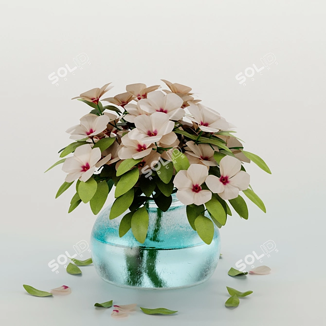 Exotic Blooms from Mediterranean Islands 3D model image 9