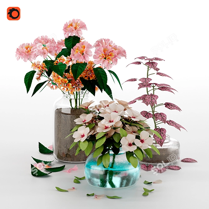 Exotic Blooms from Mediterranean Islands 3D model image 11