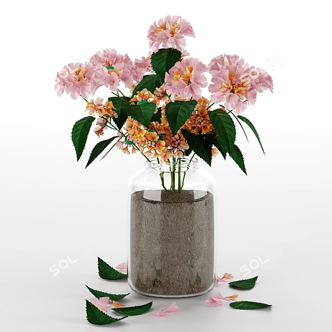 Exotic Blooms from Mediterranean Islands 3D model image 13