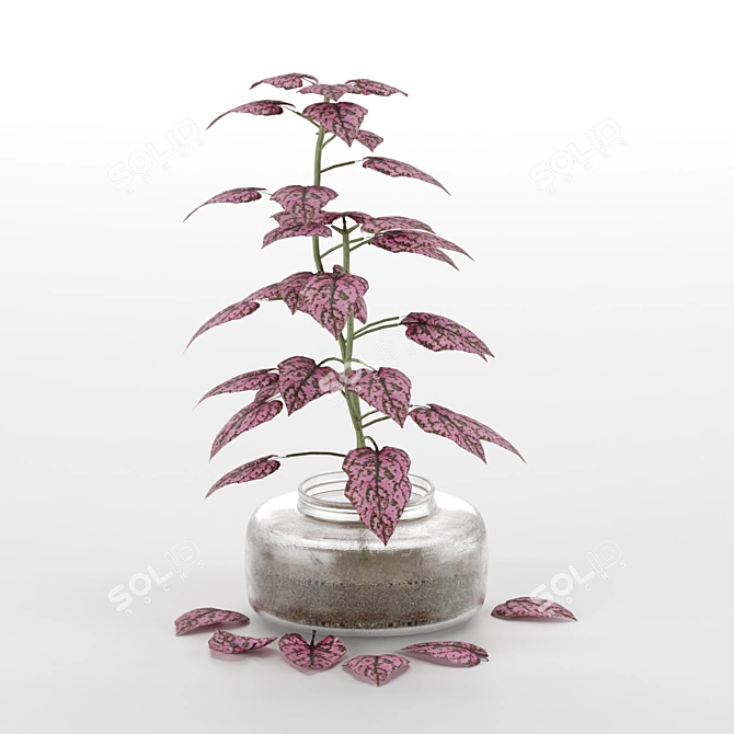 Exotic Blooms from Mediterranean Islands 3D model image 15