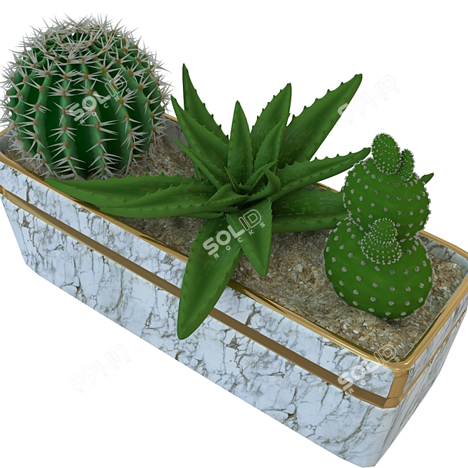 Title: Mini Cacti Pot: Tabletop Succulent Display 3D model image 2