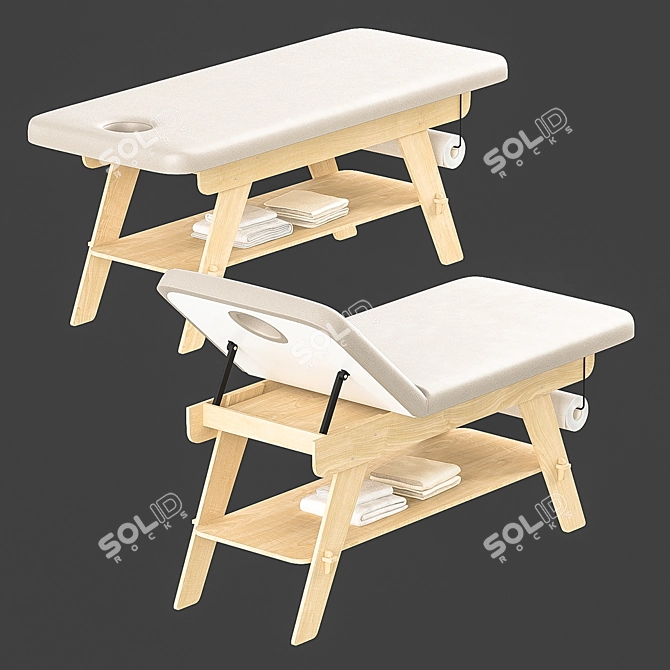 Relaxation Master Massage Couch 3D model image 1