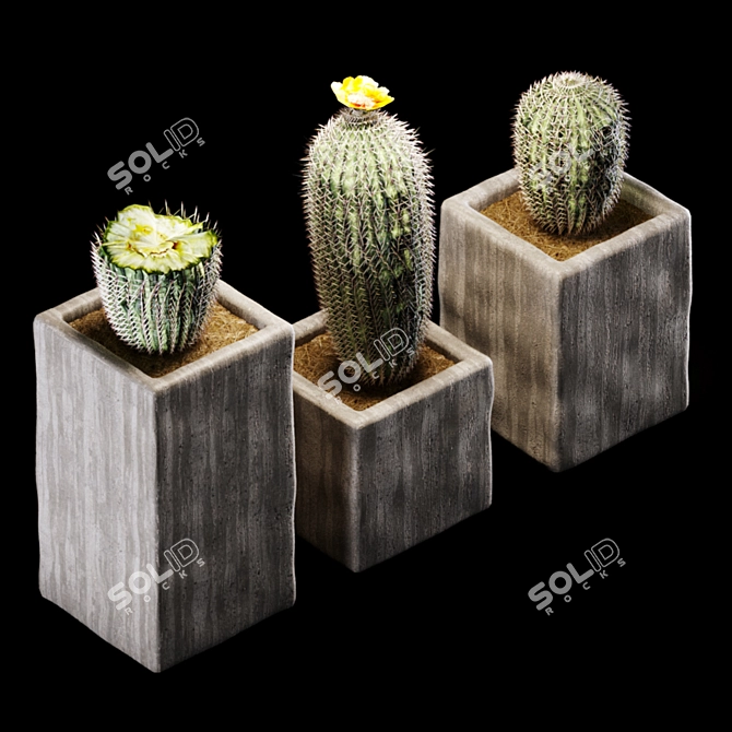 Desert Dreams: Photorealistic Barrel Cactus 3D model image 1