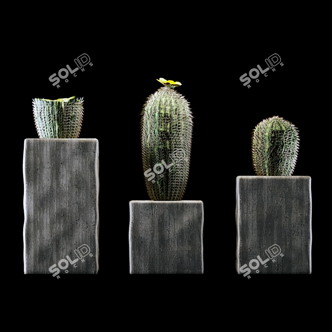 Desert Dreams: Photorealistic Barrel Cactus 3D model image 2