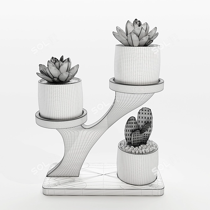 Desert Serenity: Cactus in Stone Pots 3D model image 3