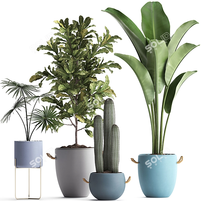 Exotic Houseplant Collection 3D model image 1